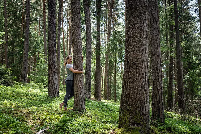 Rejuvenate in a treetop sanctuary